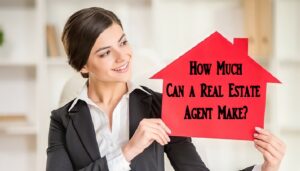 Real Estate Agent