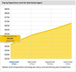 Real Estate Agent