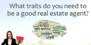 Real Estate Agent